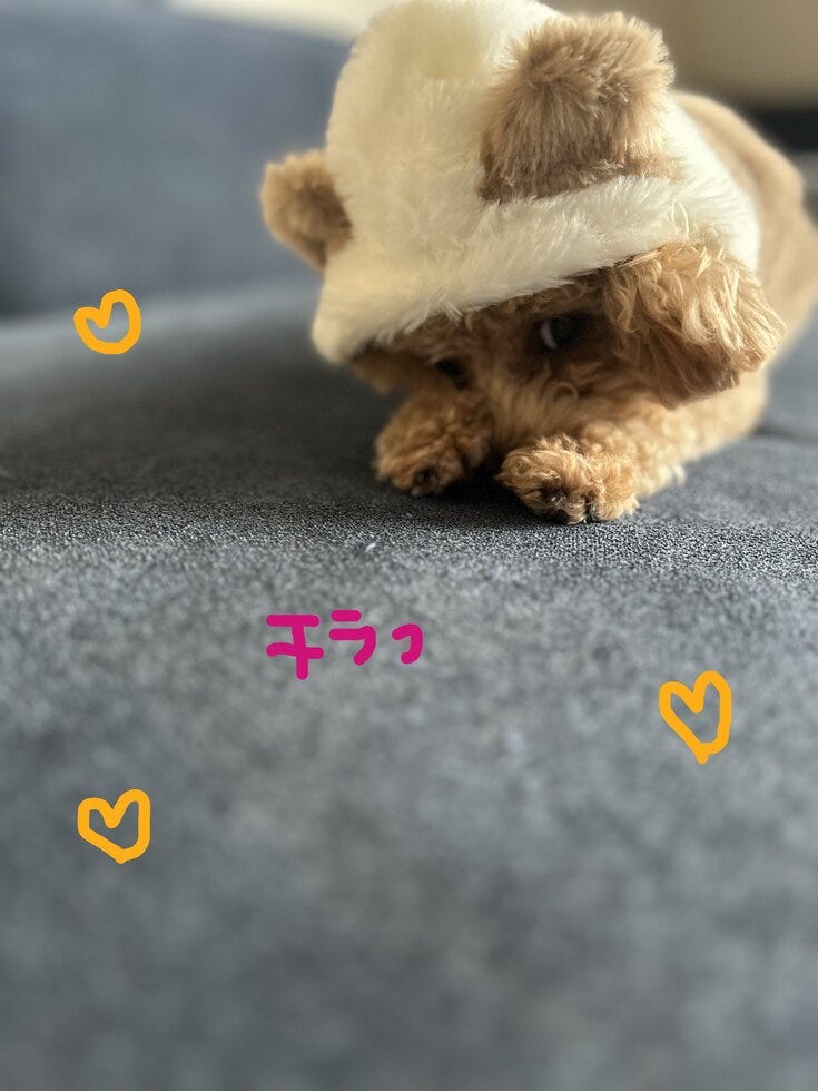 ブログサムネイル