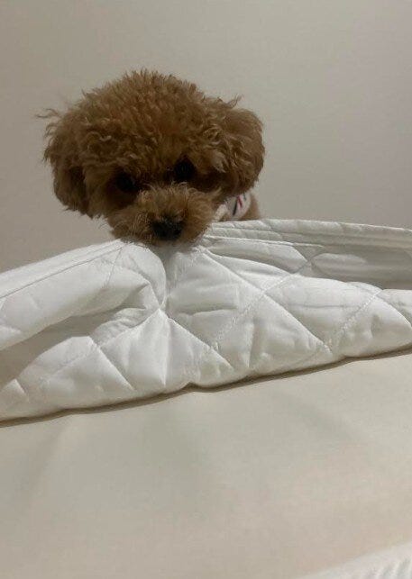 ブログサムネイル