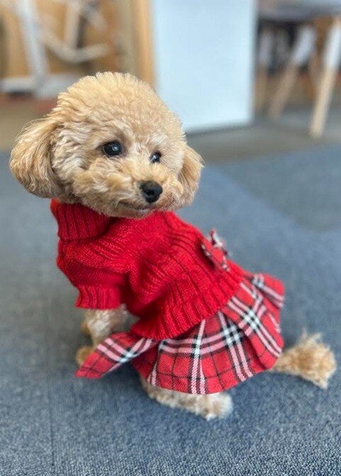 ブログサムネイル