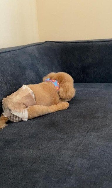 ブログサムネイル