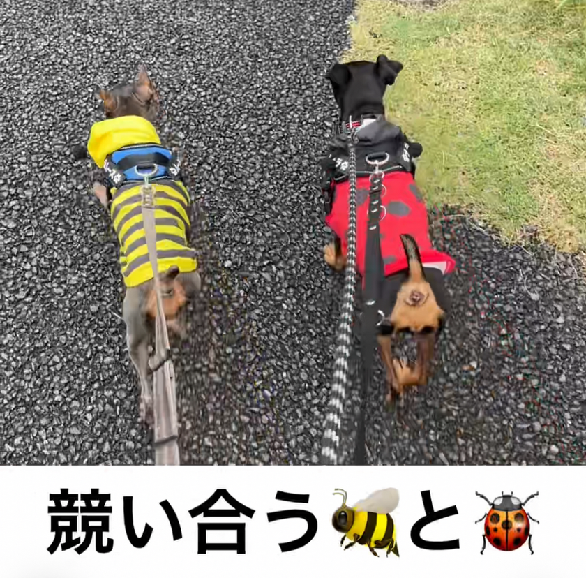 ブログサムネイル