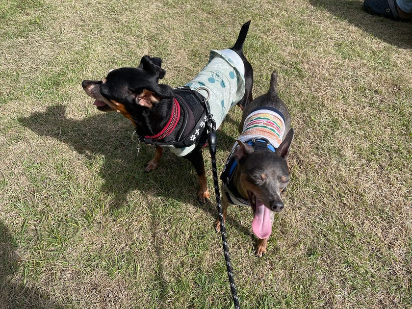 ブログサムネイル