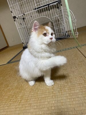 スタッフ写真2