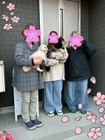 お客様の声画像0