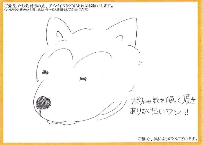 アンケート用紙