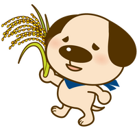 お客様の声画像0